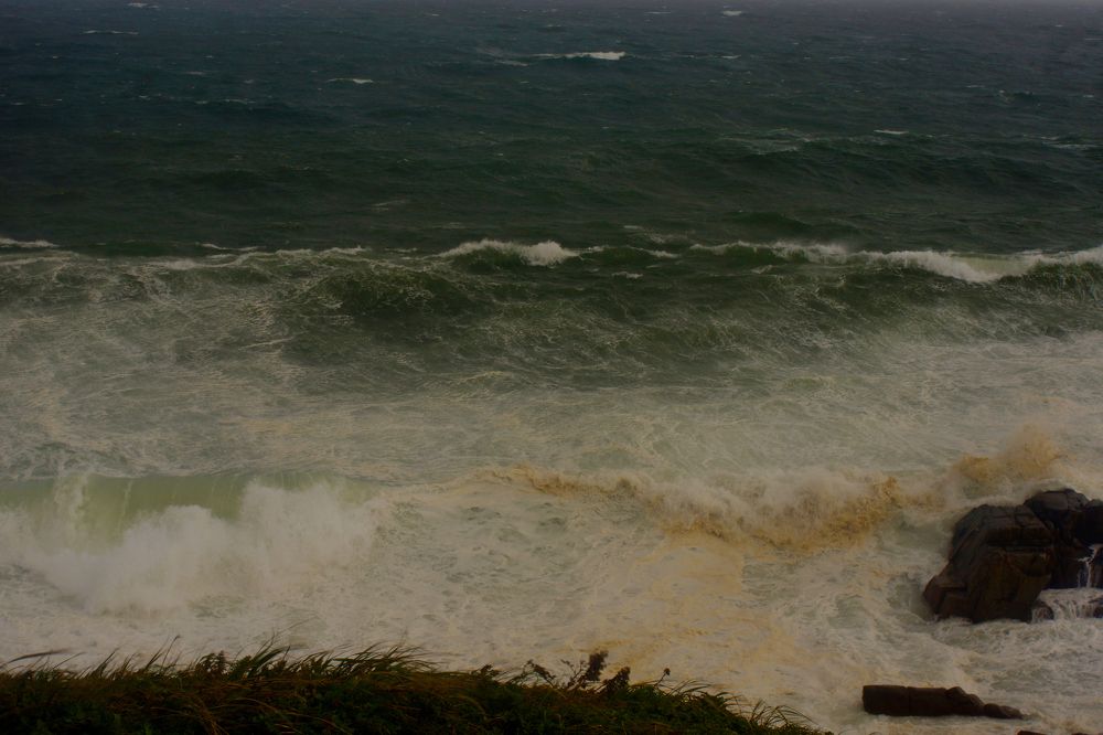 Photograph by Лариса Неман