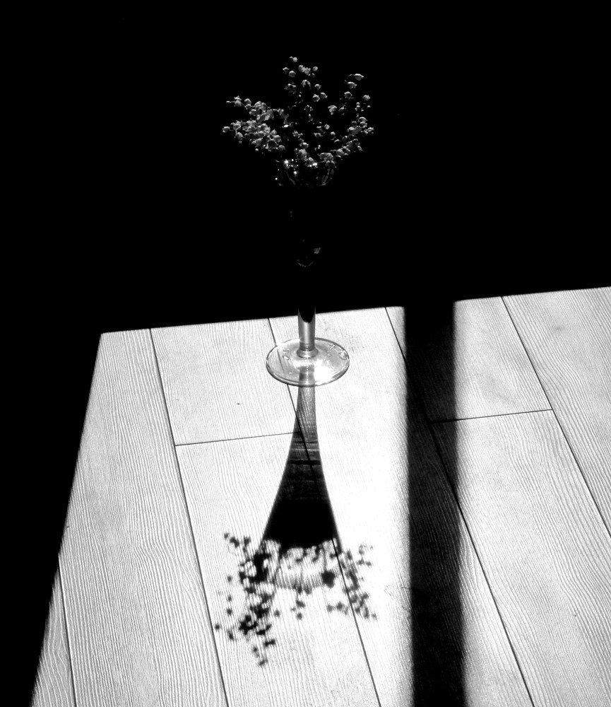 Photograph by Жанна Нечаева