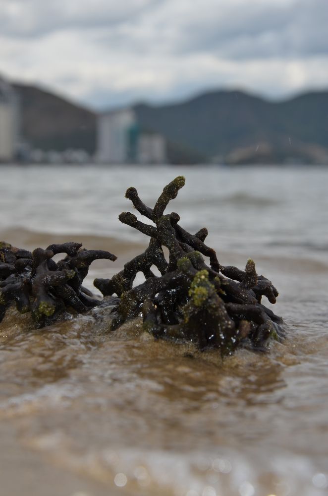 Photograph by Людмила Воропаева