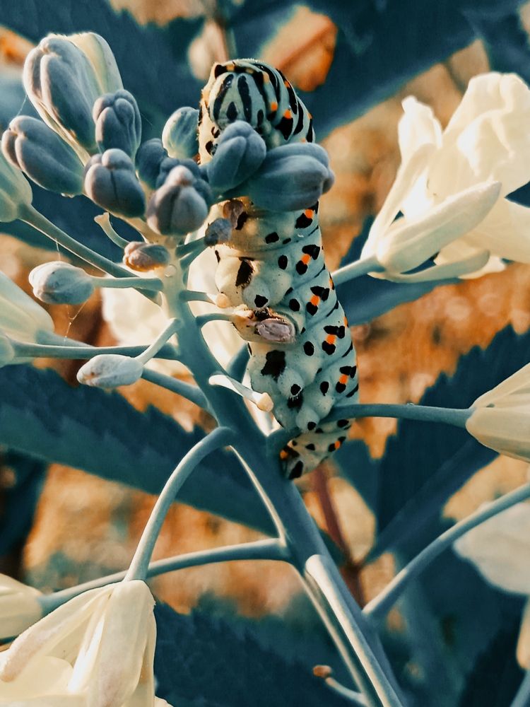 Photograph by Евсеева Валентина