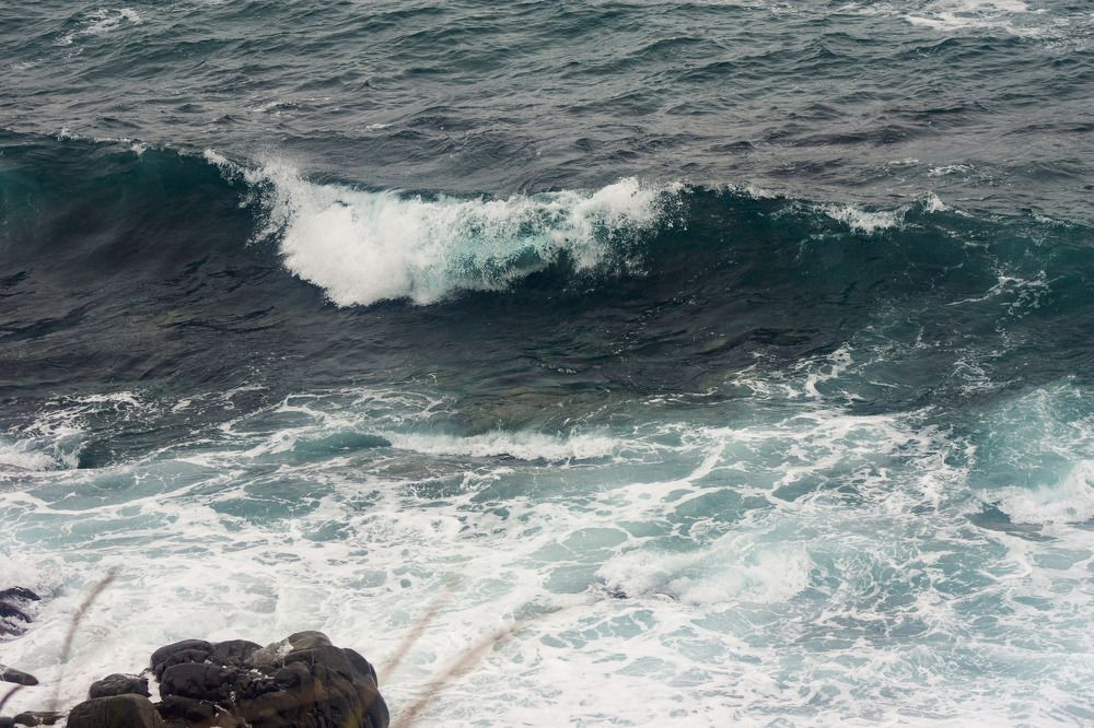 Photograph by Лариса Неман