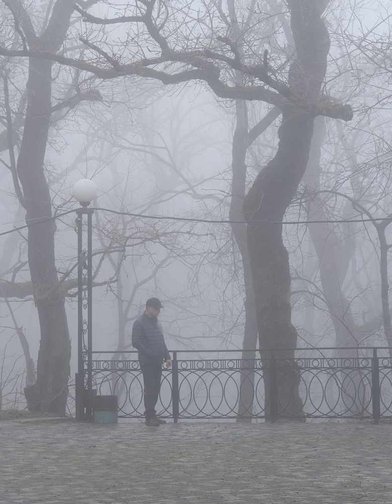 Photograph by Сергей Кошин