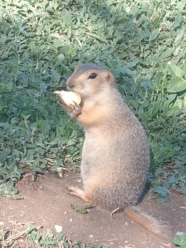 Photograph by Евгения Горячева