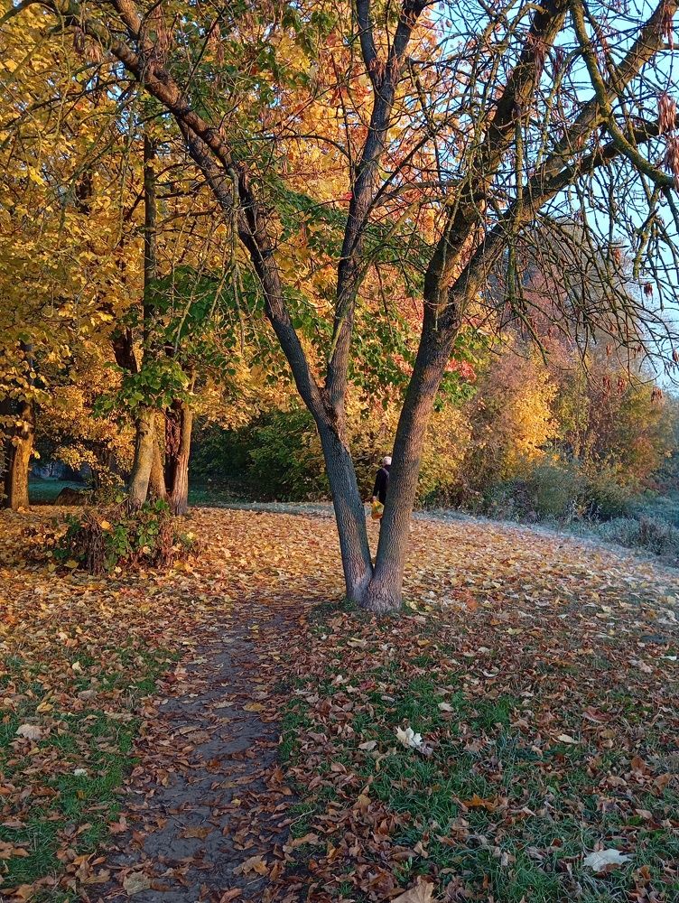 Photo #11298341