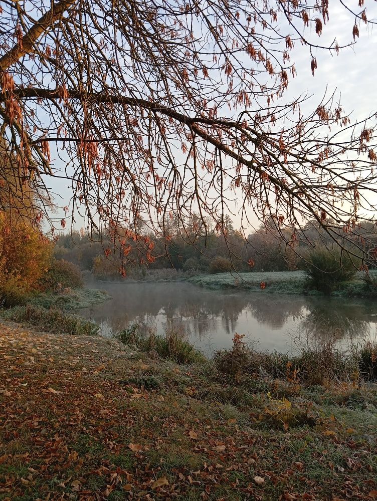 Photo #11298346