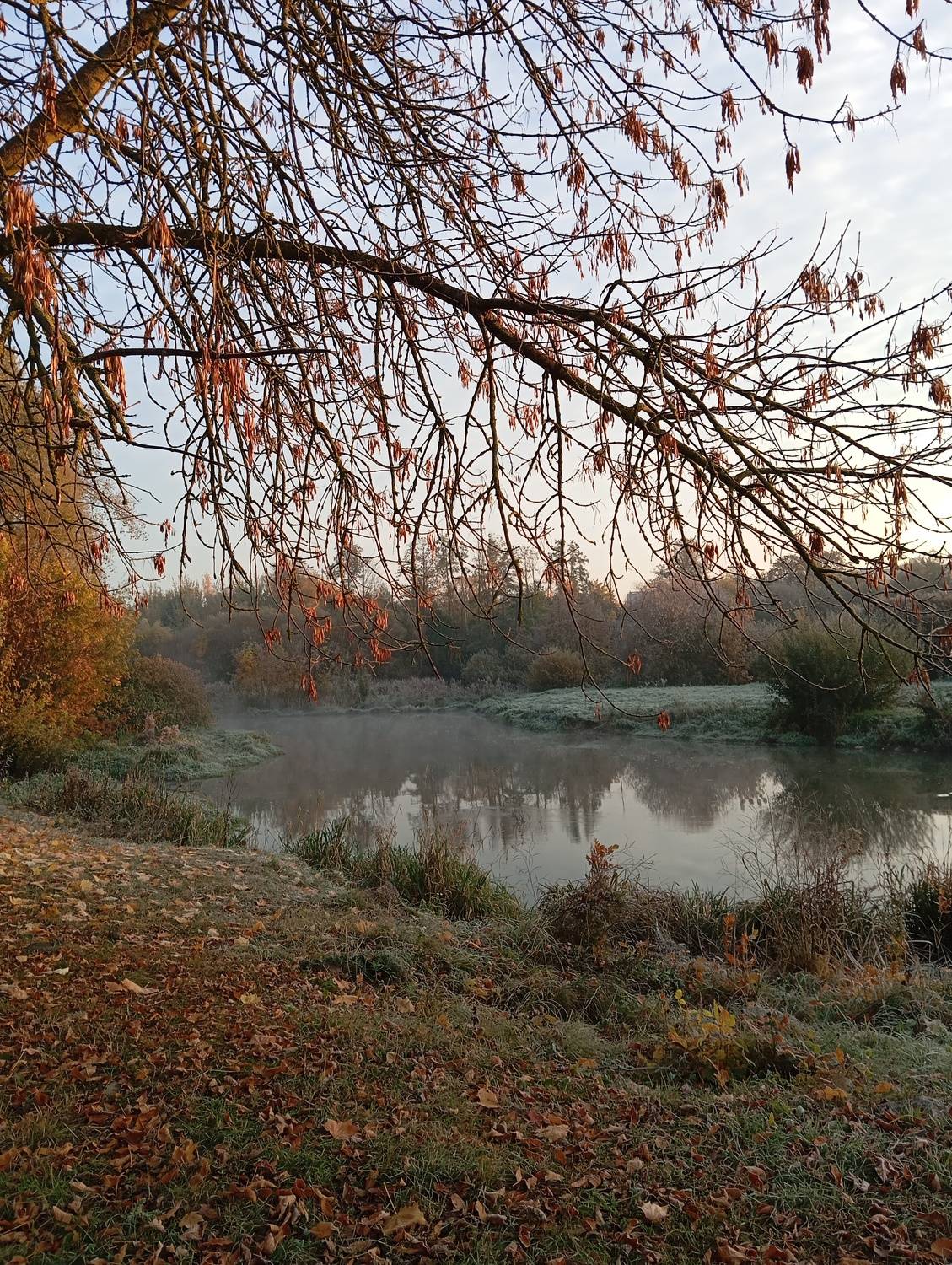 Photo #11298346