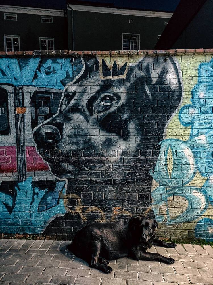 Фотография автора Ирина Гриценко