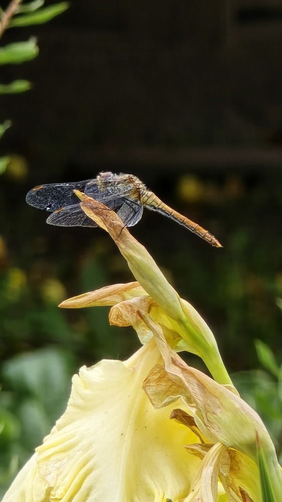 Photograph by Ольга Фомина