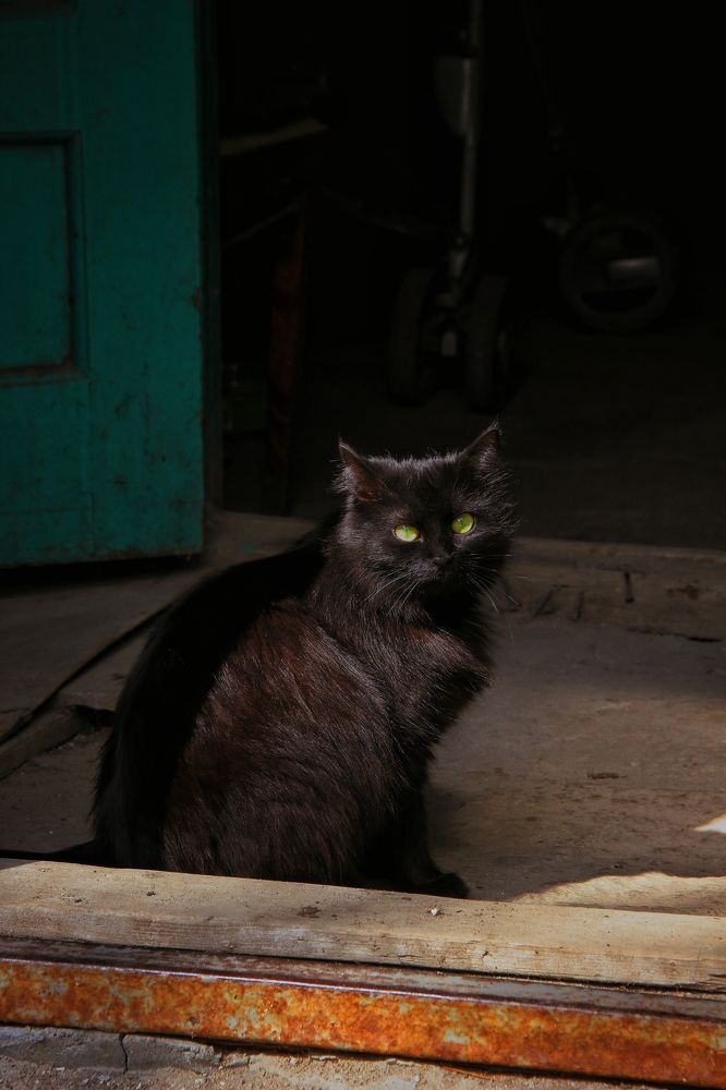 Photograph by Анна Любимова