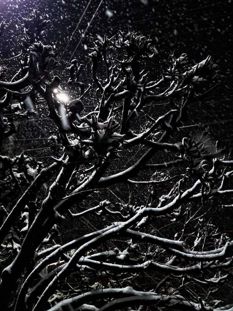 Photograph by Людмила Григорьева