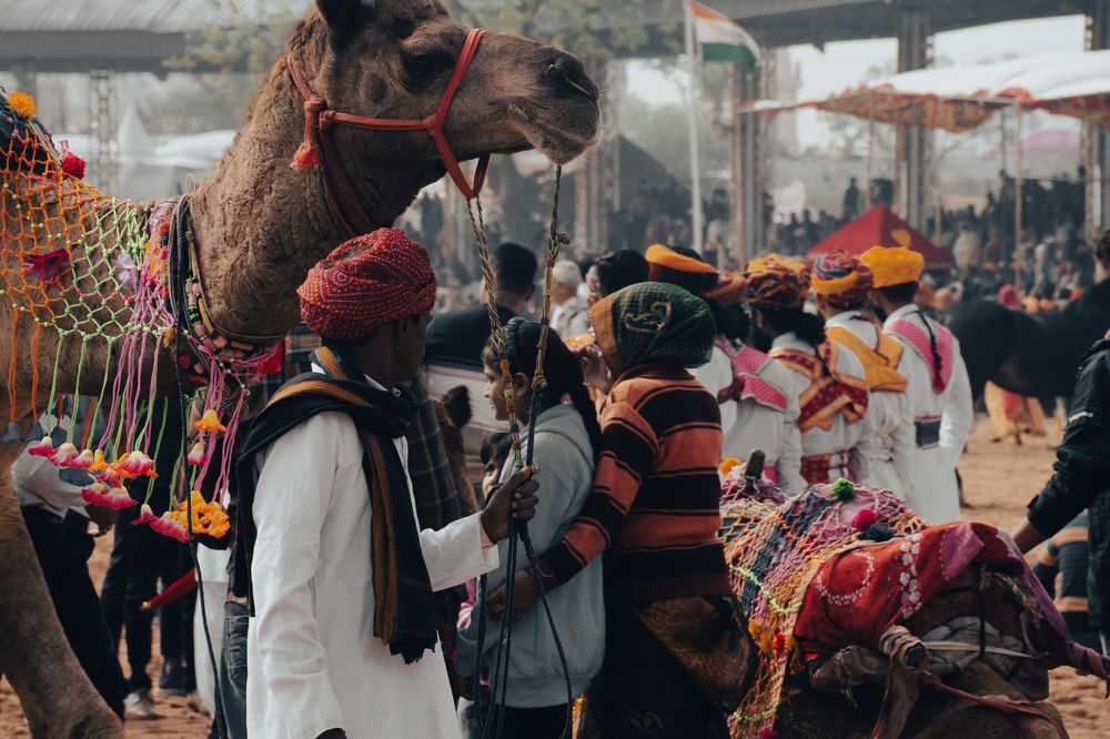 Фотография автора prashant bamnawat