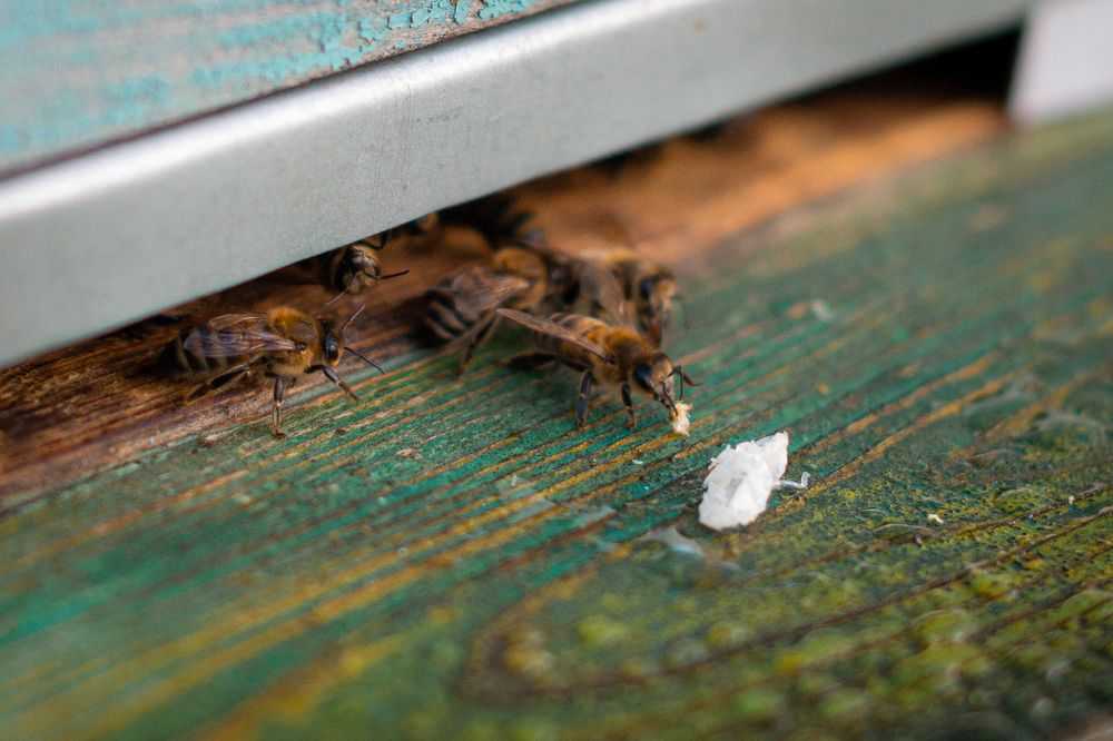 Photograph by Лина Матвеева