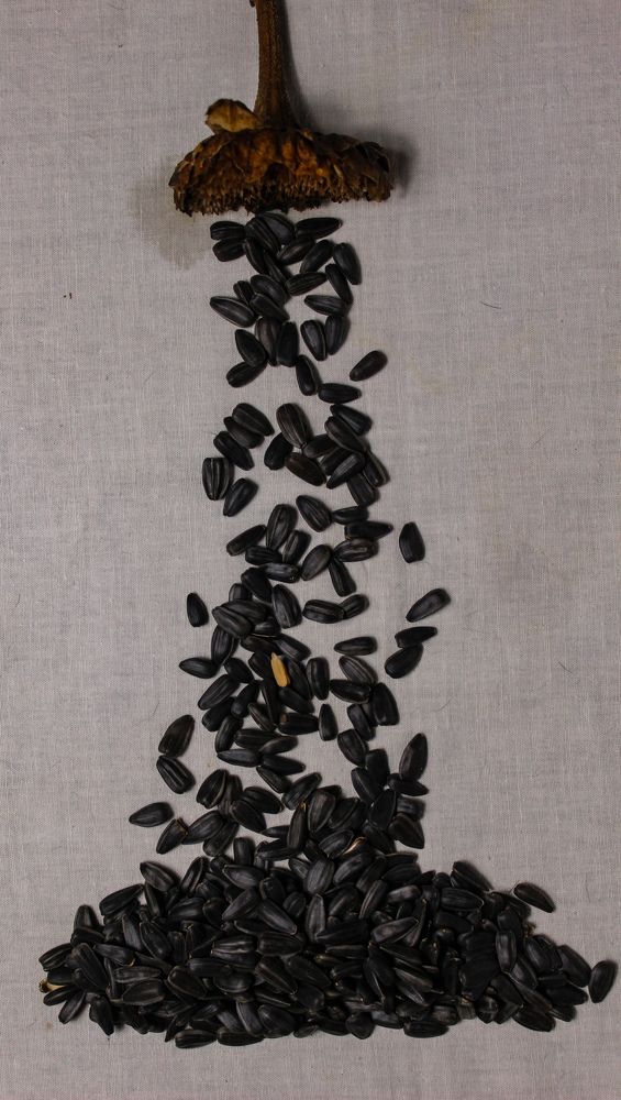 Photograph by Ирина Дмитриенко