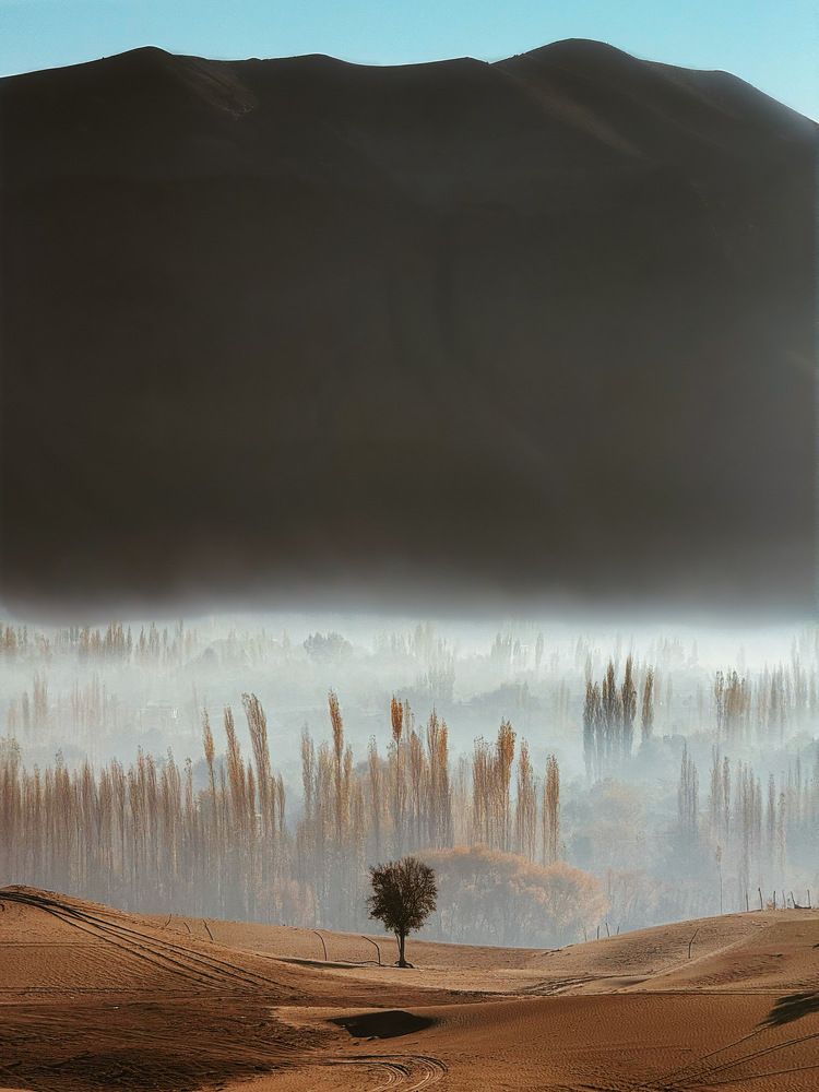 Katpana Desert Awakens at Dawn