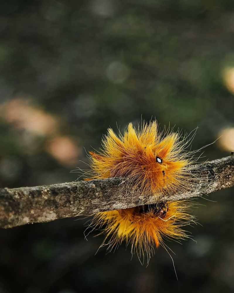 Photograph by Татьяна Соколовская