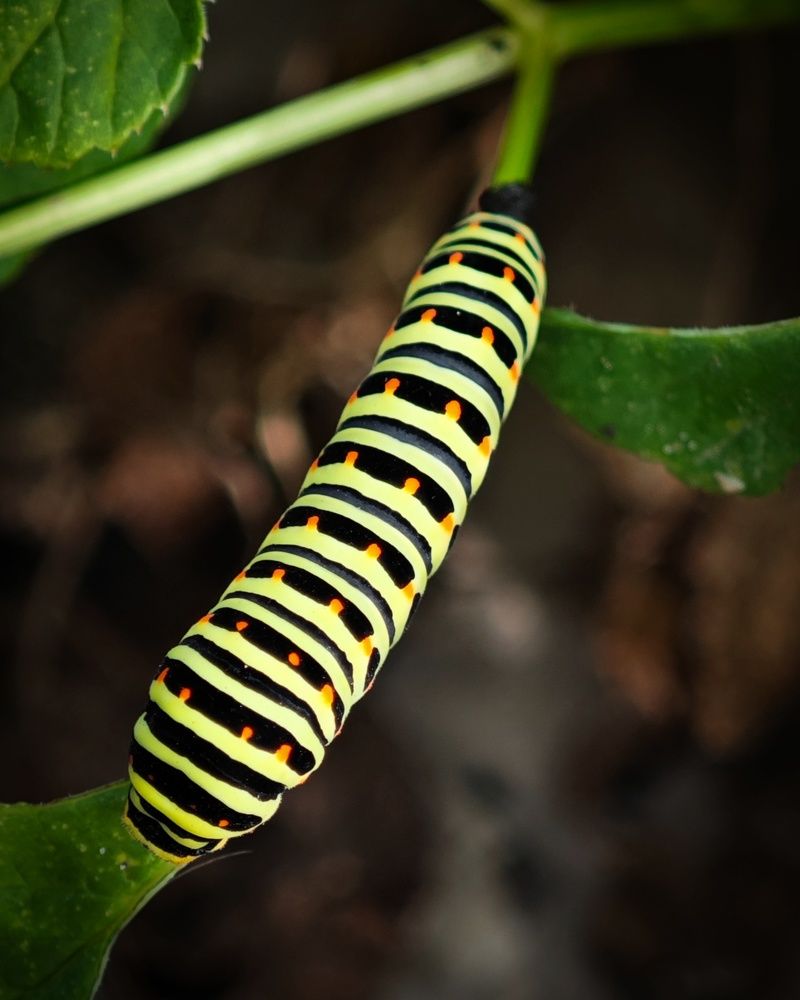 Photograph by Татьяна Соколовская