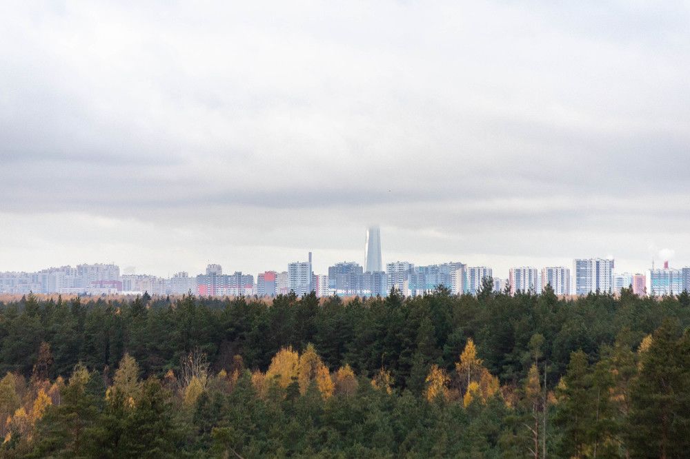 Фотография автора Алина Павлова