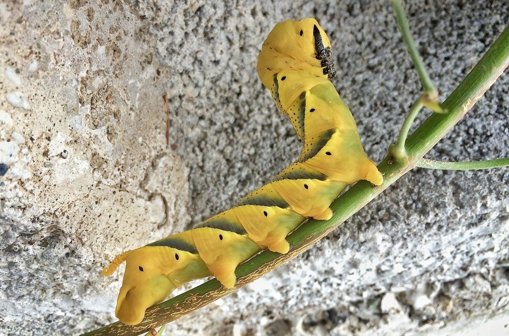 Photograph by Олег Банковский