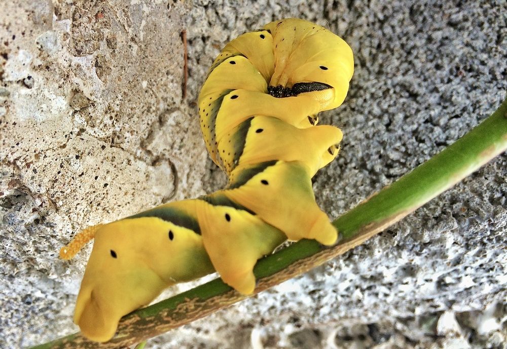 Photograph by Олег Банковский