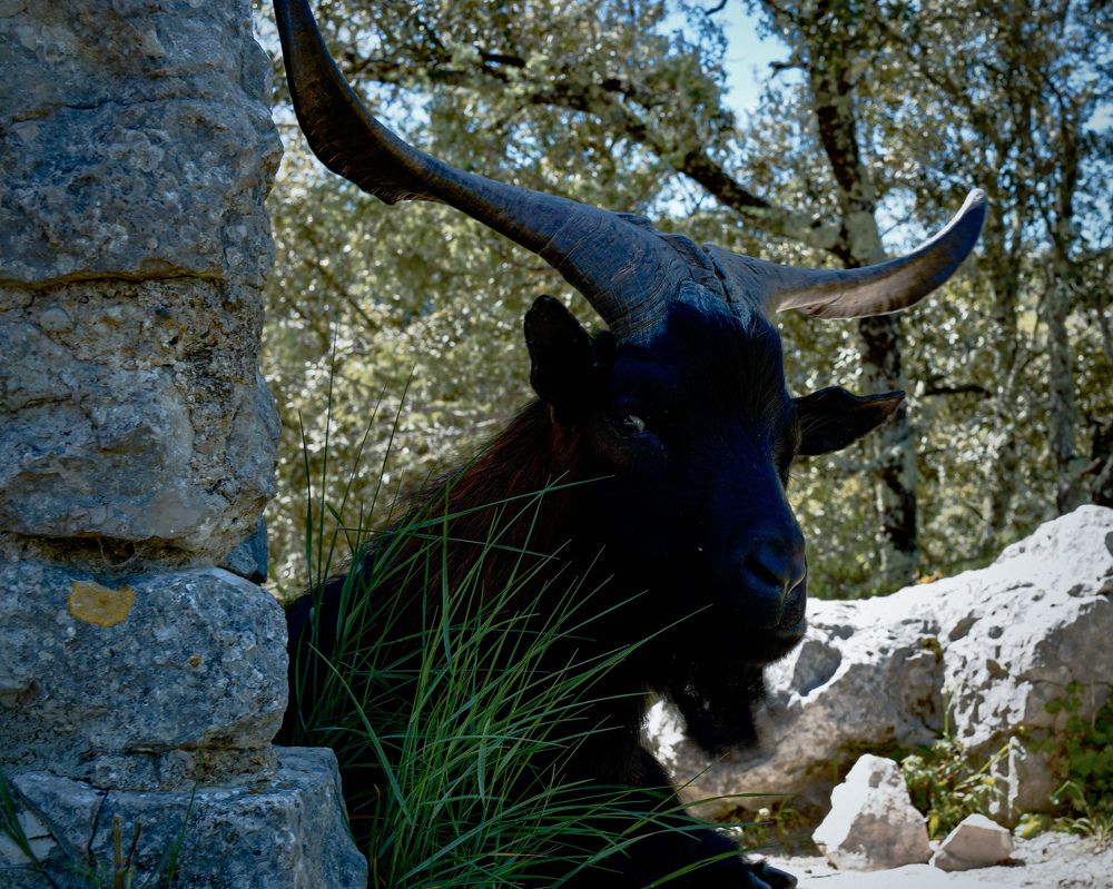 Photograph by Marina Odintsova