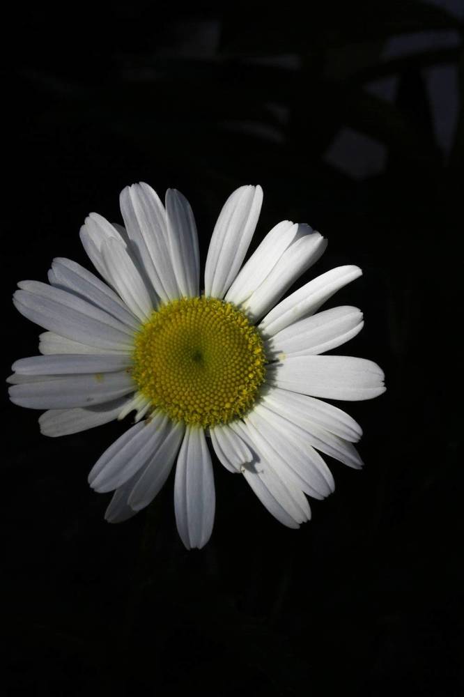 Photograph by Анна Михайловна