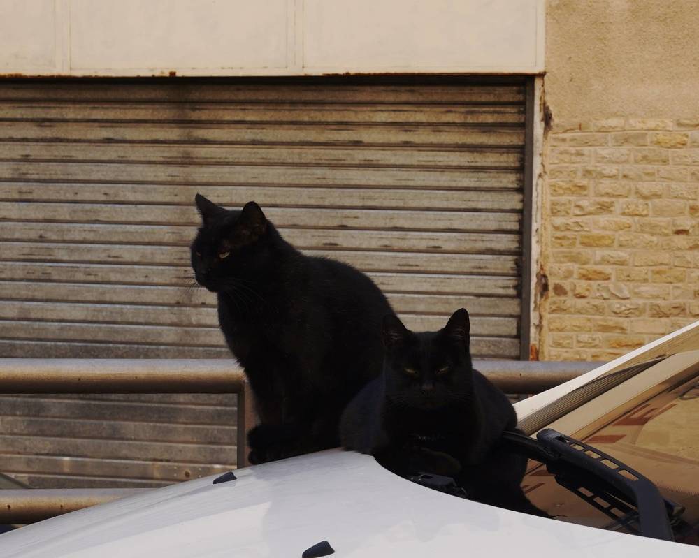 Photograph by Marina Odintsova