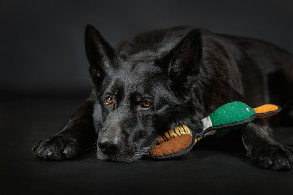 Photograph by Яна Нарбутович