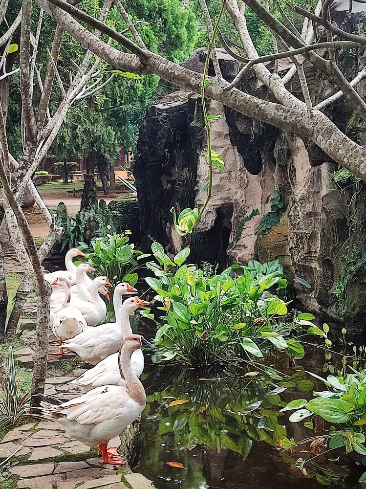 Photograph by Meilany Wijaya