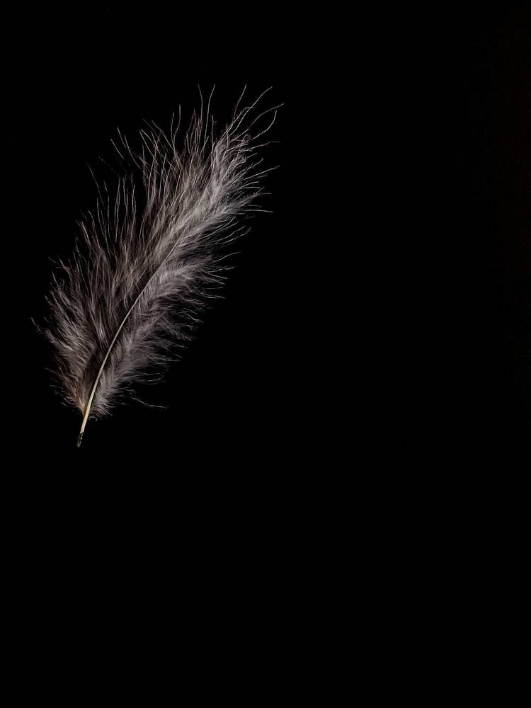 Photograph by Мария Ванина