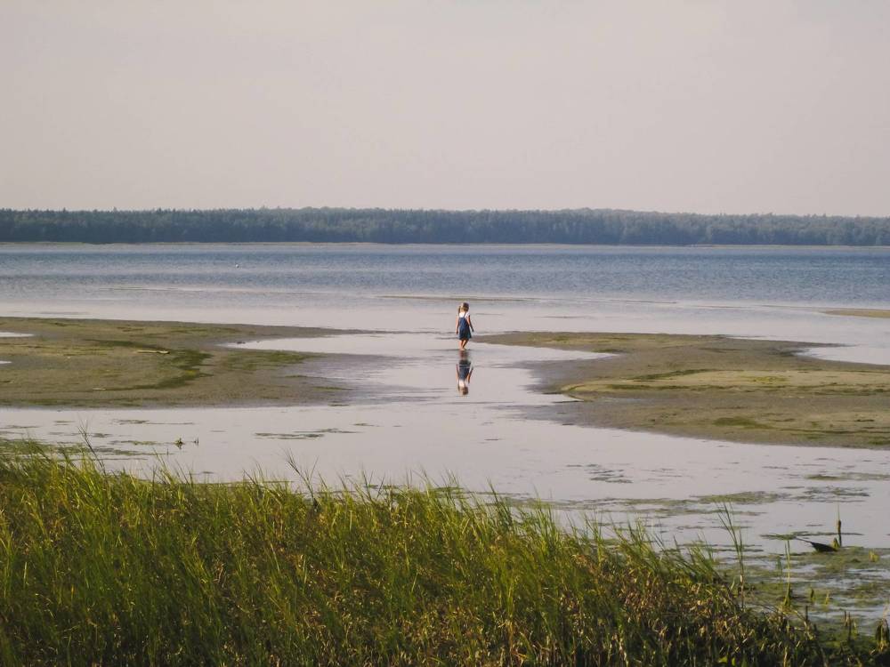 Photo #11298702