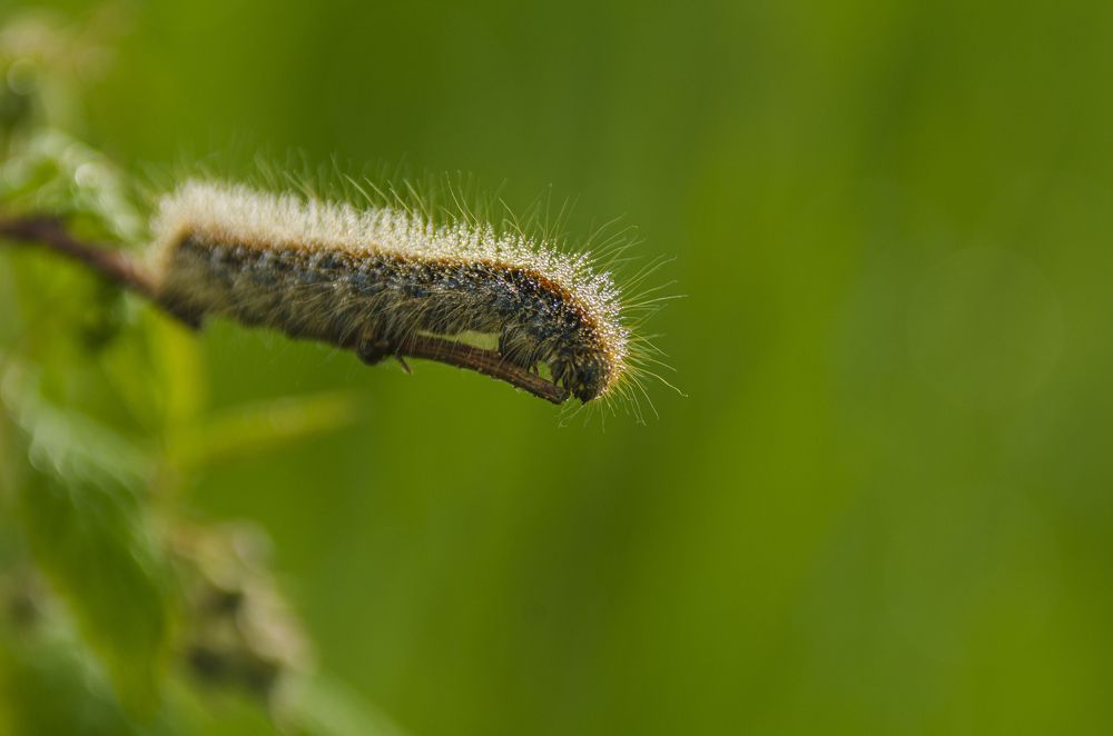 Photograph by Надежда Михайлина