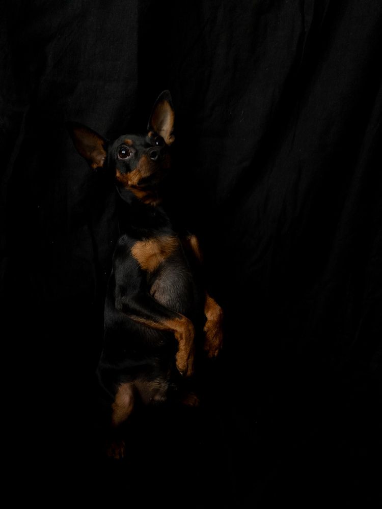 Фотография автора Наталья Тургулайнен