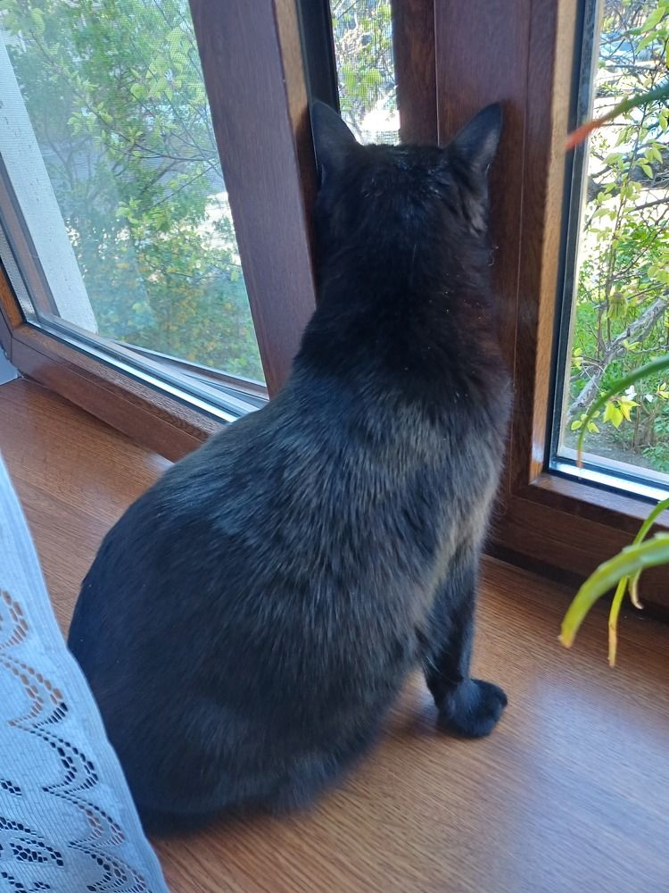 Photograph by Елена Казаренко