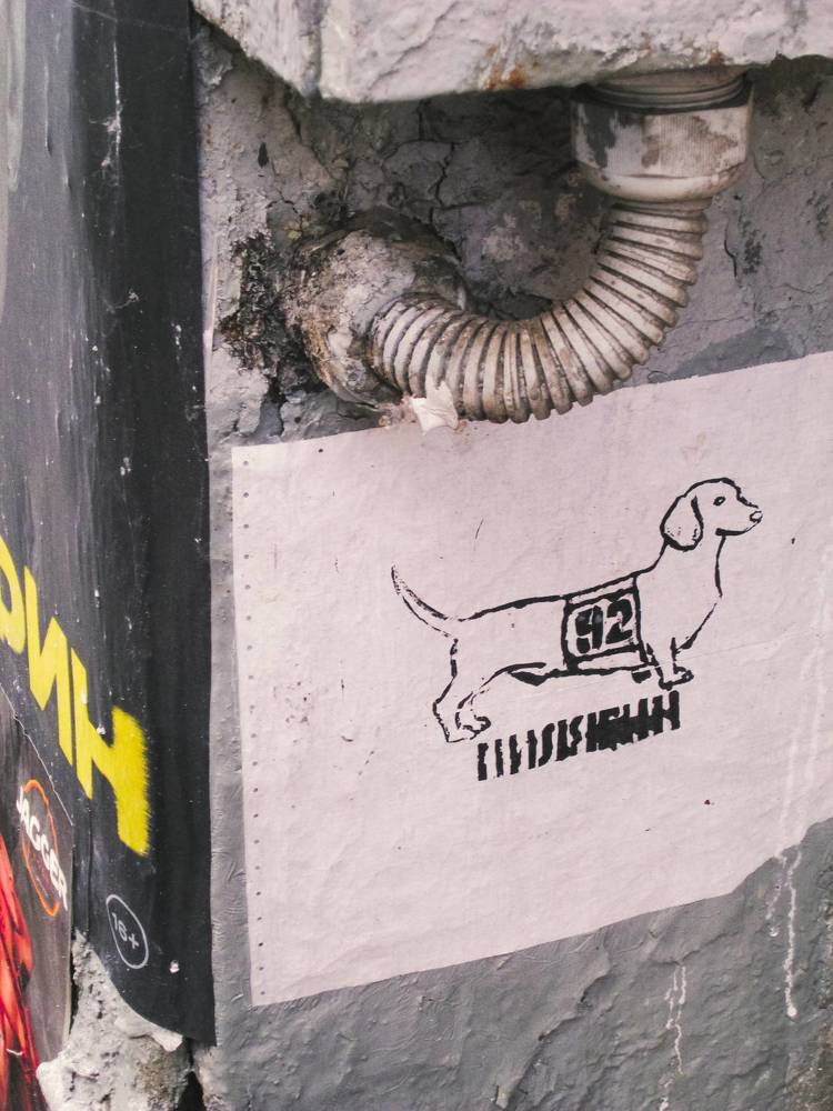 Photo #11298762