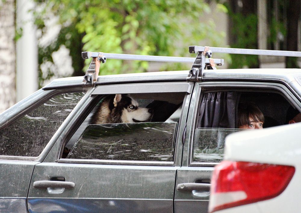 Photograph by Меднов Влад