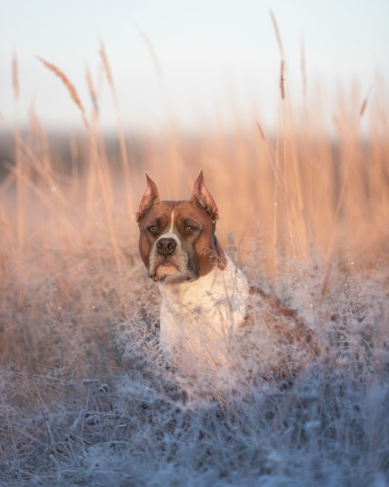Фотография автора Мария Тигунова