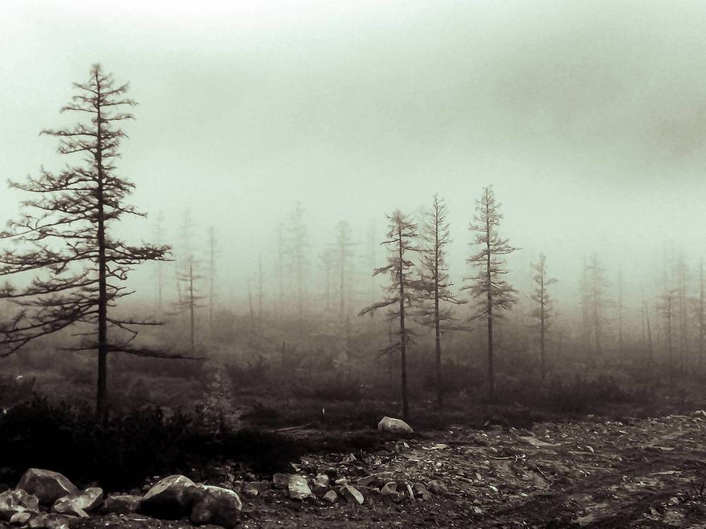 Photograph by Алексей Егоров