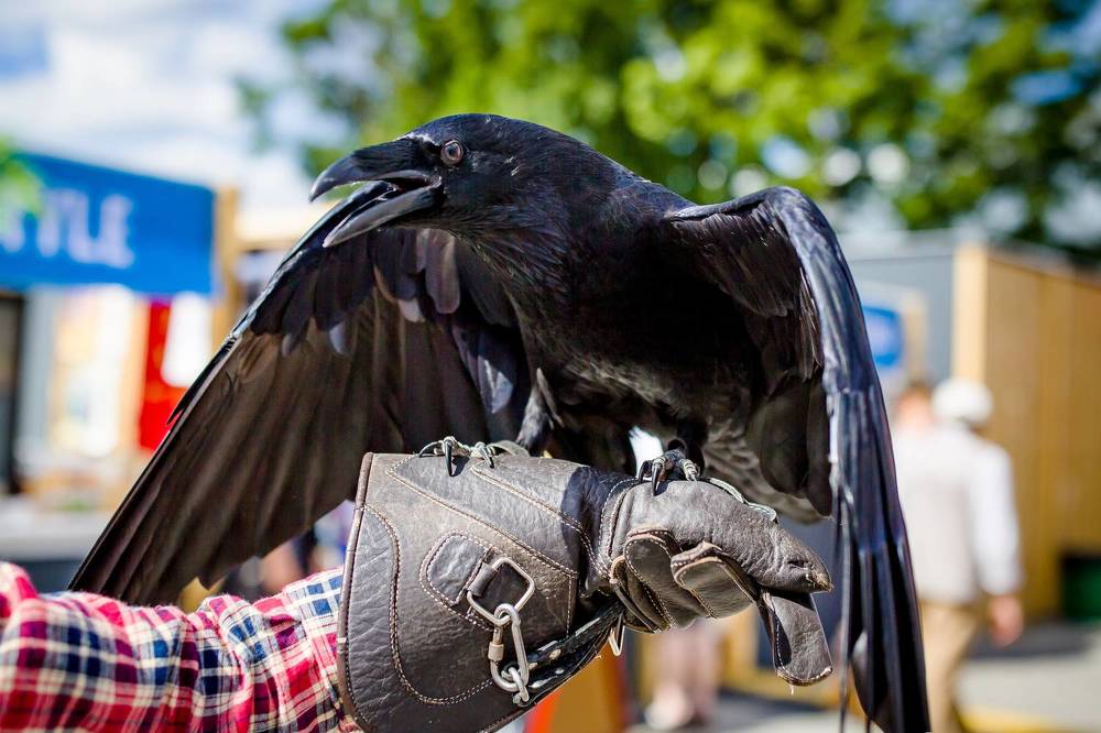 Photograph by Владимир Говоров