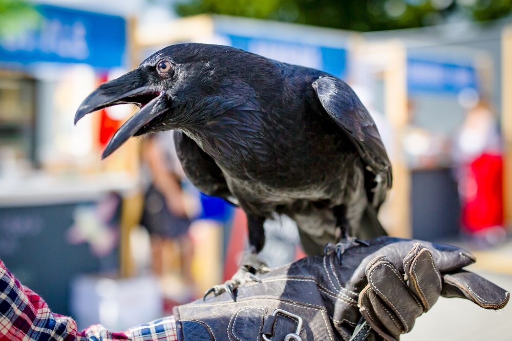 Photograph by Владимир Говоров