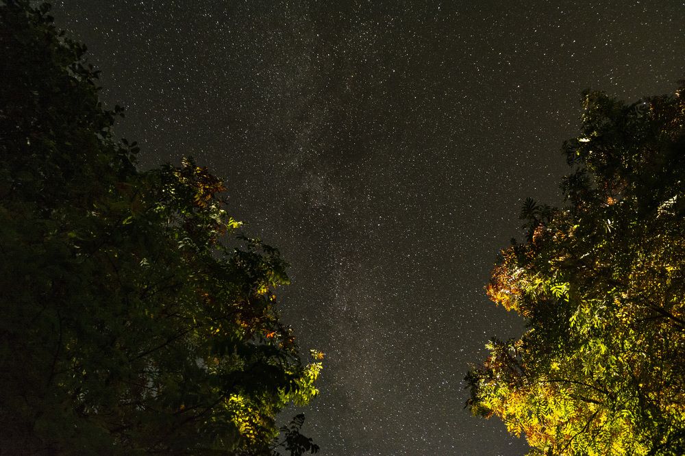 Photograph by Олег Малетин