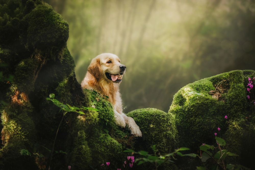 Photograph by Андрианова Ирина