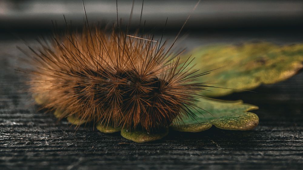 Photograph by Екатерина Никитина