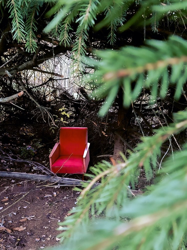 Photograph by Людмила Емельянчикова