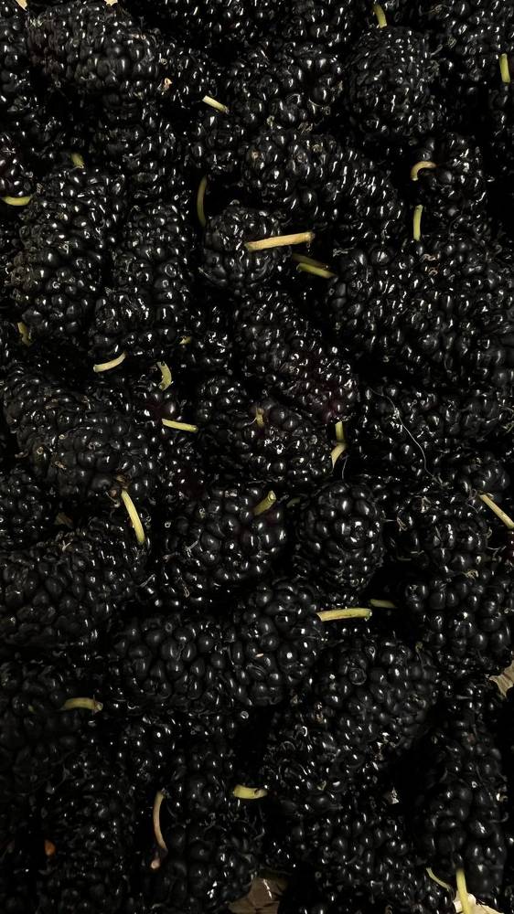 Photograph by Елена Громова