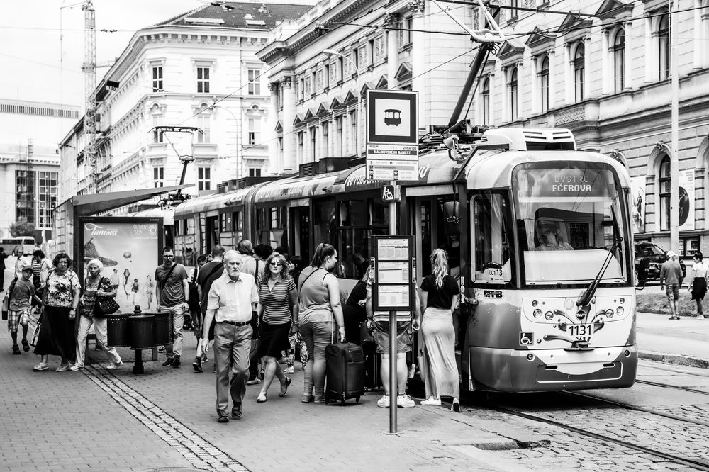 Фотография автора Aleksandar Tomovski