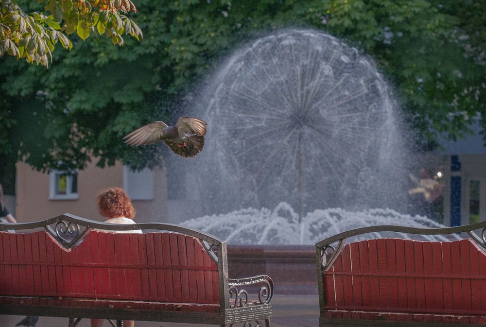 Фотография автора Alena Makushina