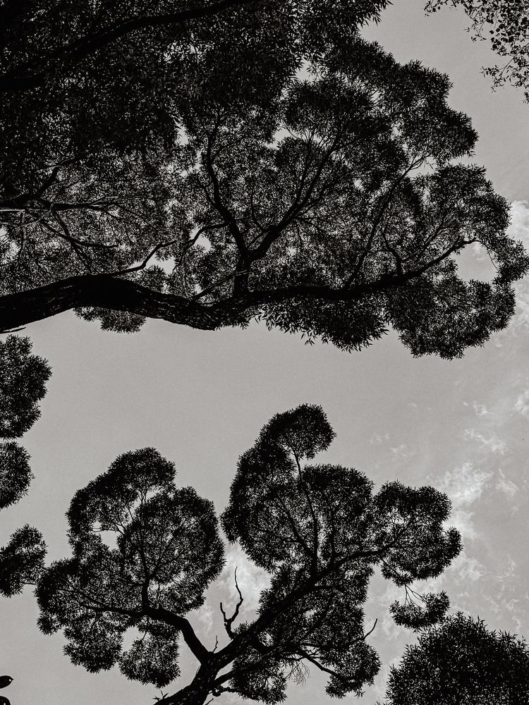 Photograph by Alina Polomoshnova