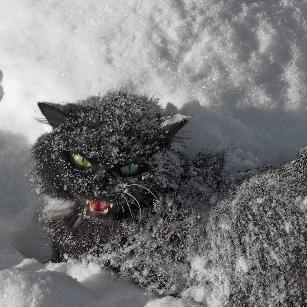 Photograph by Сергей Кириллов