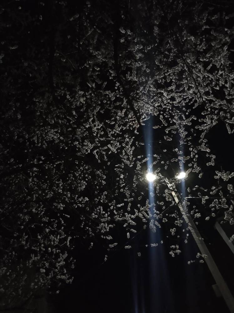 Photograph by Роман Маханов