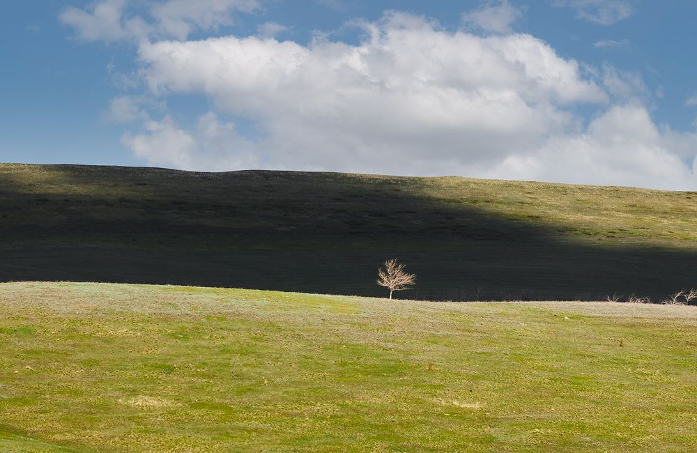 Photograph by Сергей Кириллов